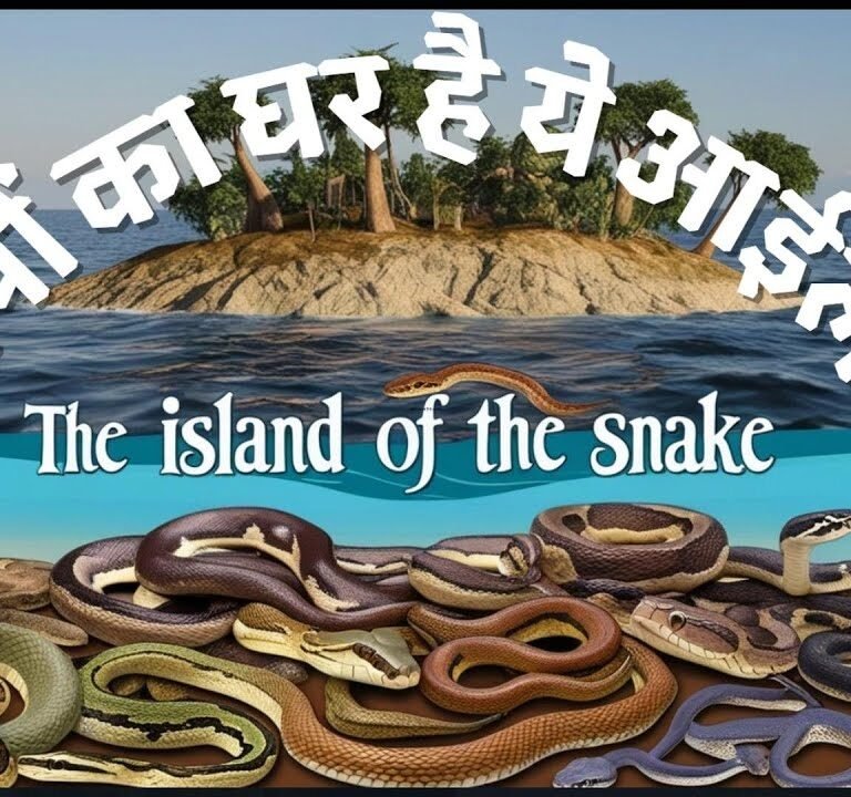 स्नेक आइलैंड – साँपों से भरा धरती का एक खतरनाक द्वीप – Island of Snakes